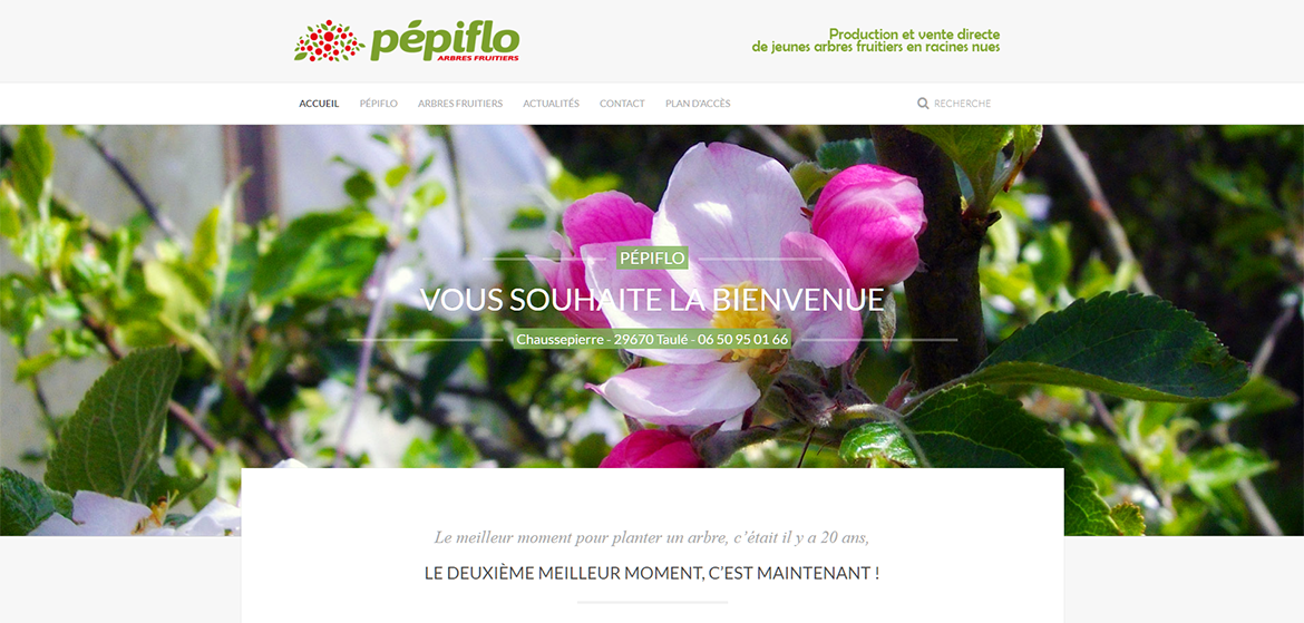 Site Pepiflo